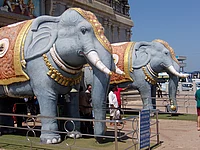Elefant der zweite
